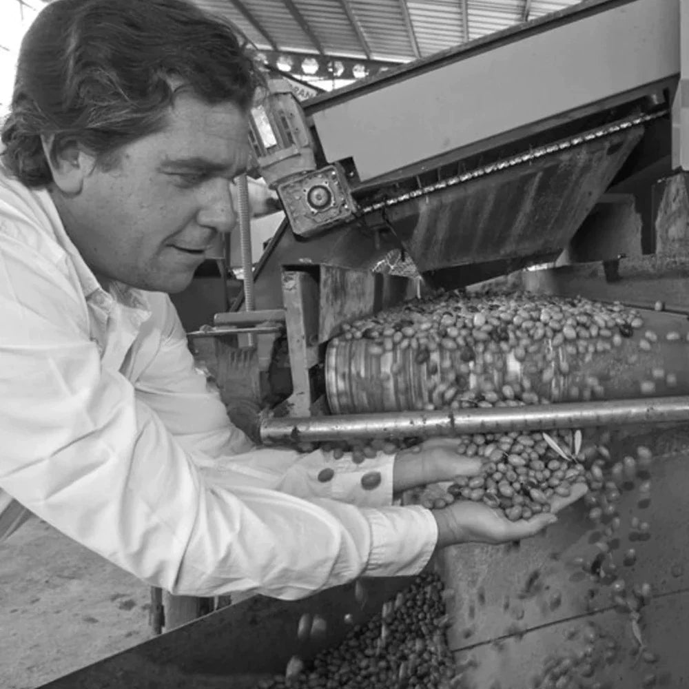 Luis Entabes Hersteller extra natives olivenöl Spanien